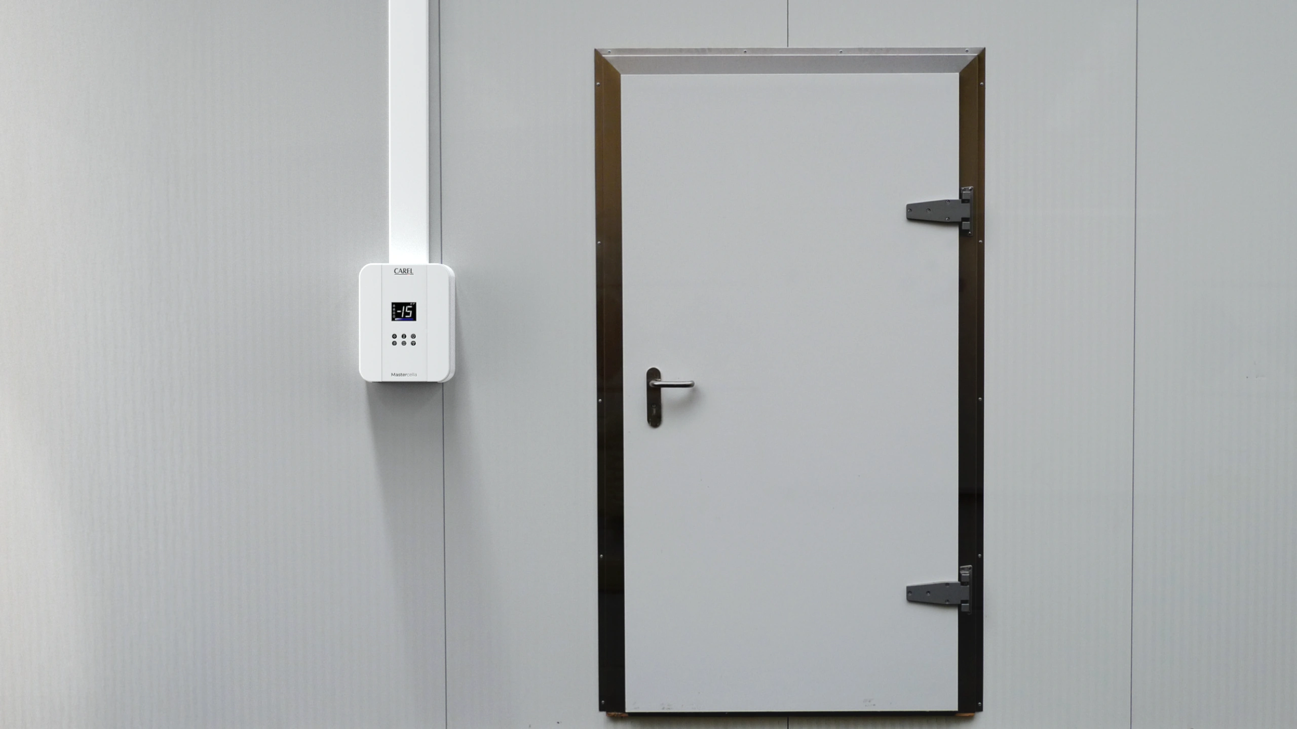 MasterCella evolution detail